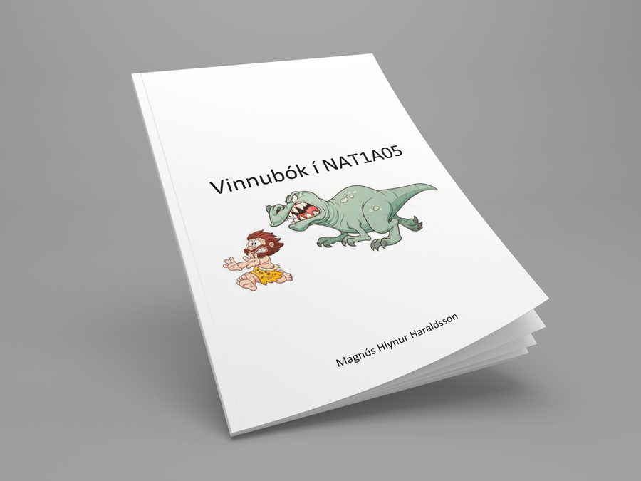 BHS - Verkefnabók NAT1A05