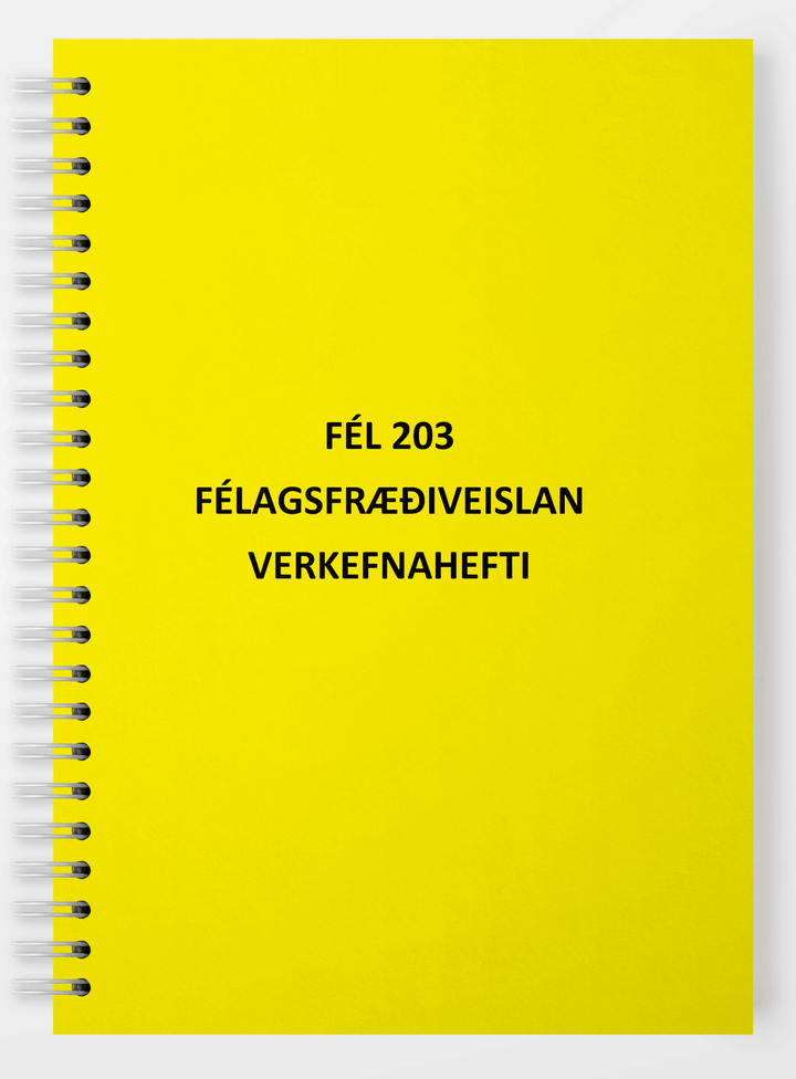 BHS-Félagsfræðiveislan - verkefnahefti