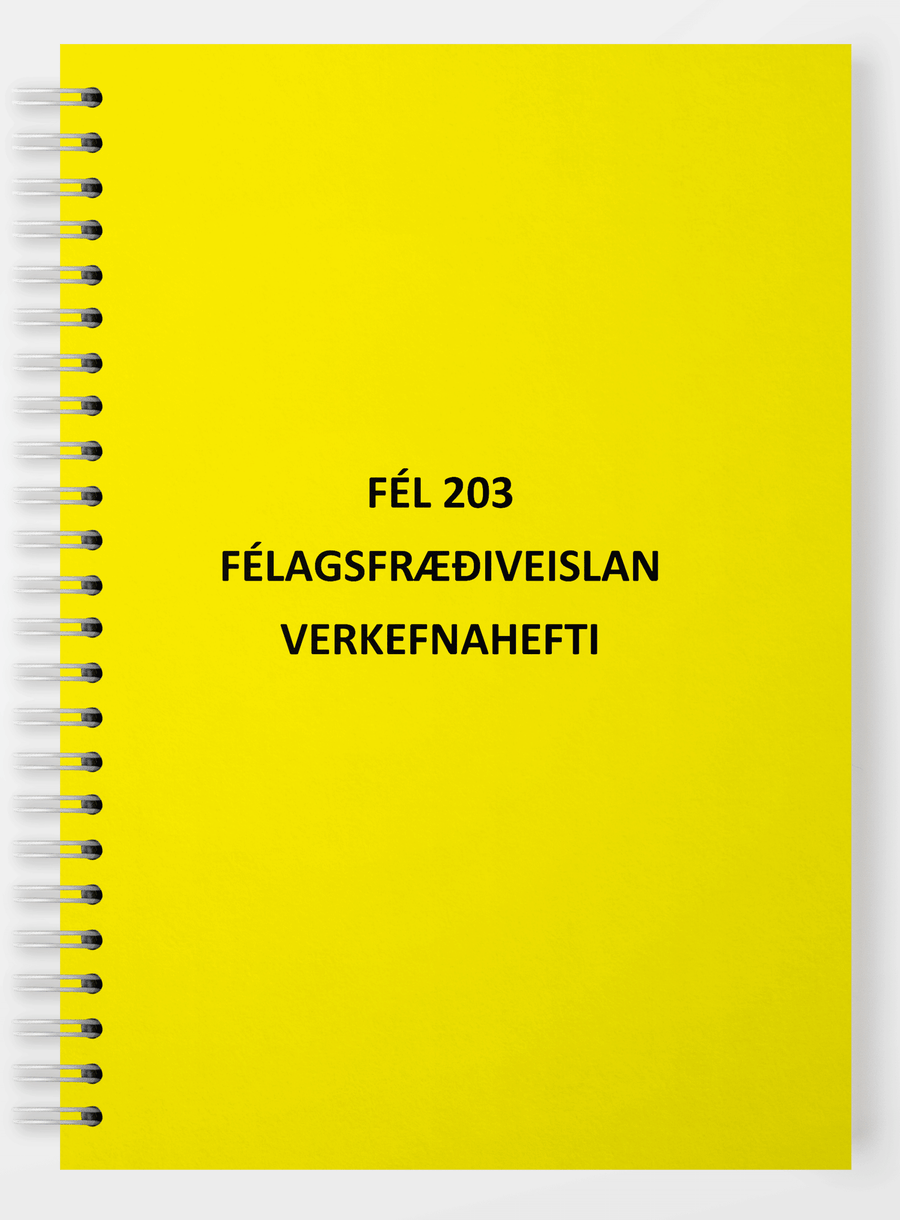 BHS-Félagsfræðiveislan - verkefnahefti